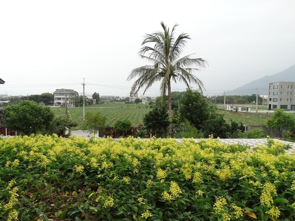 花蓮 達芙妮花園民宿 Csien Kültér fotó